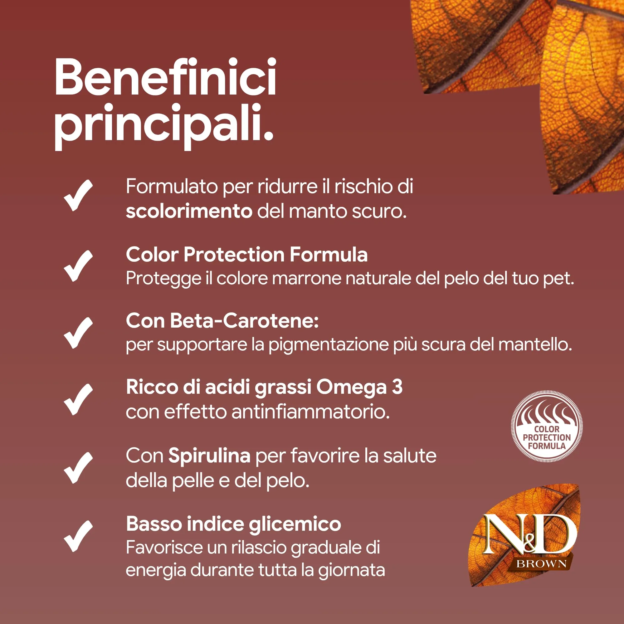 N&D Brown Agnello Spirulina & Carota Cane Puppy Mini, 1,5kg - immagine 5