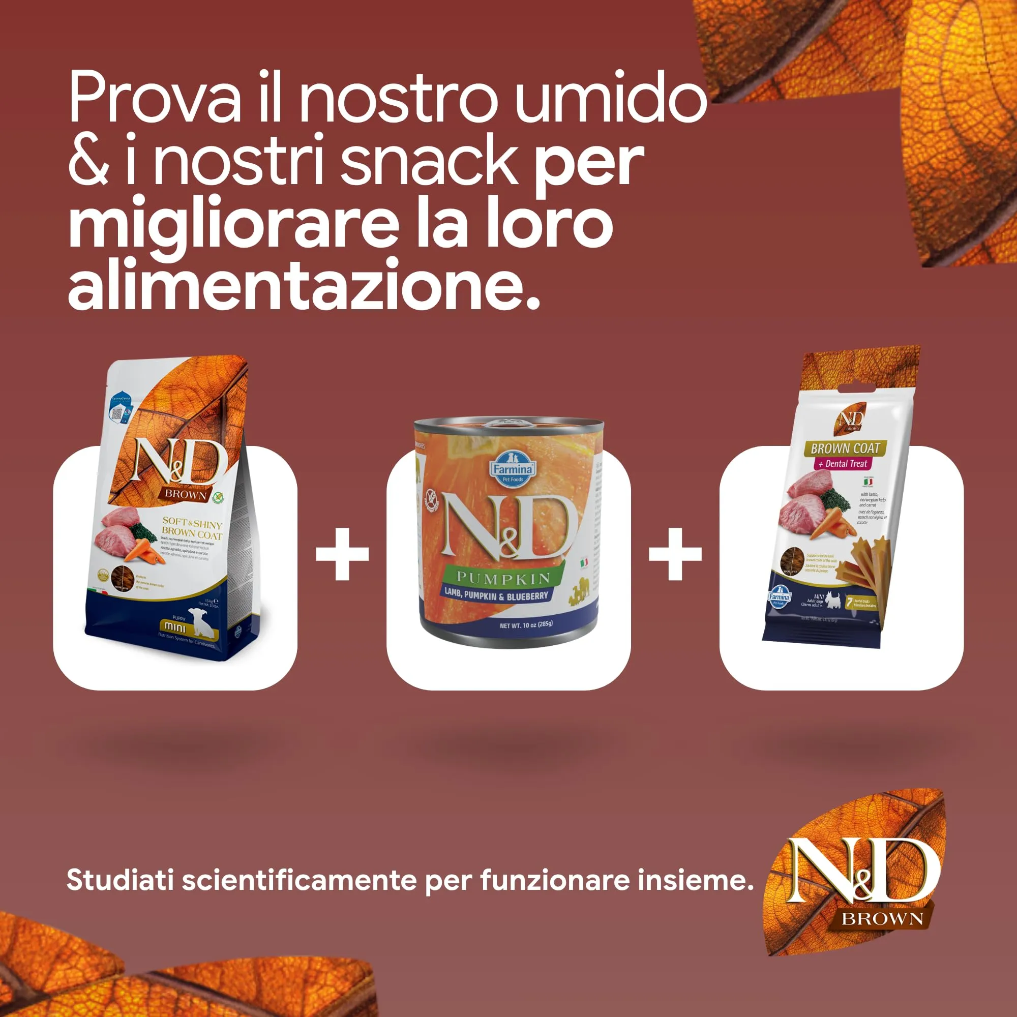 N&D Brown Agnello Spirulina & Carota Cane Puppy Mini, 1,5kg - immagine 8