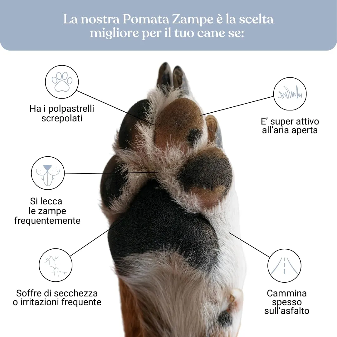 Bau Crema Polpastrelli Cane Nutriente e Protettiva con Karitè e Calendula - immagine 3