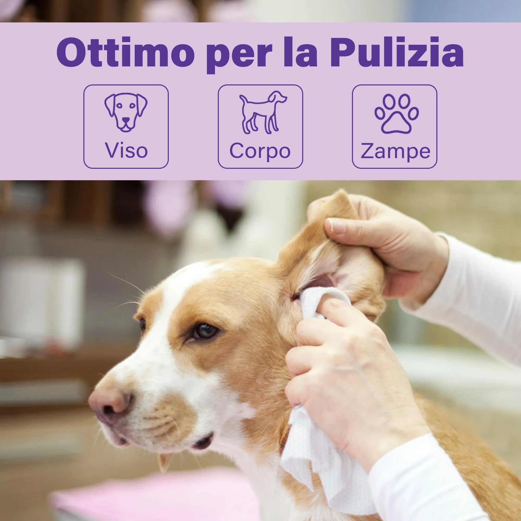 PrimePets Salviette Cane alla Lavanda, 400 Pezzi - immagine 4