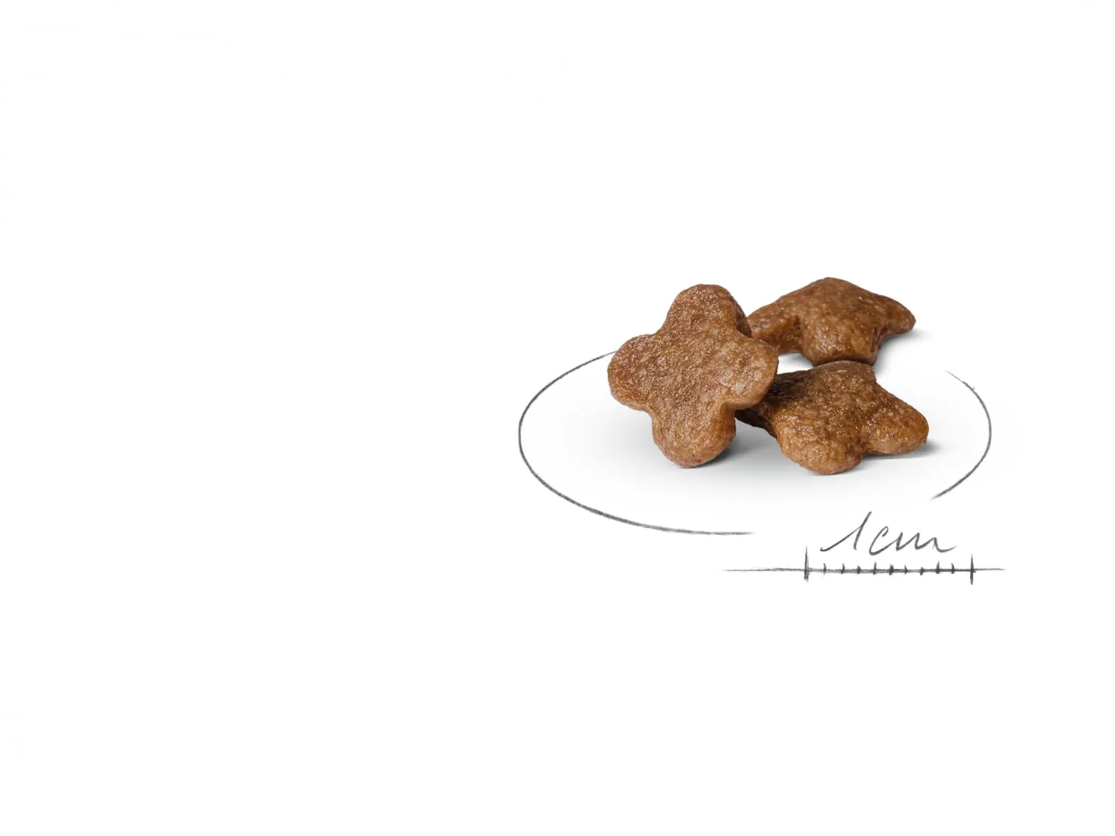 Royal Canin Mini Adult 8+ Dog Food, 2 kg - immagine 3
