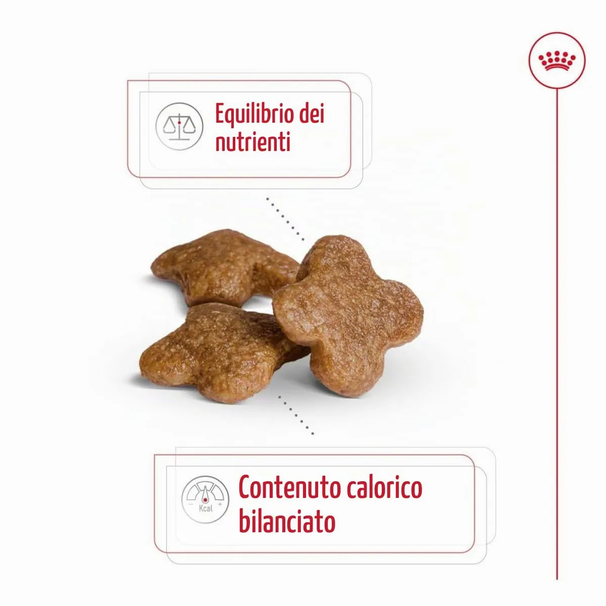 Royal Canin Mini Adult 8+ Dog Food, 2 kg - immagine 6