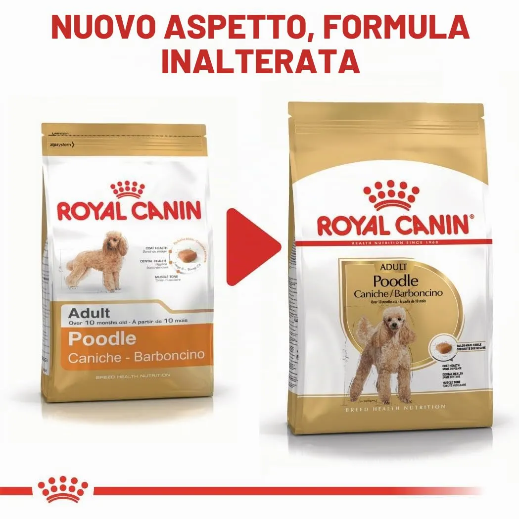 Royal Canin Poodle Adult, 500 g - immagine 6