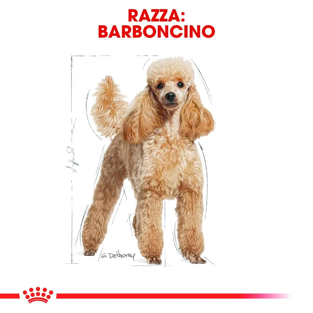 Royal Canin Poodle Adult Dry Dog Food, 1.5kg - immagine 3