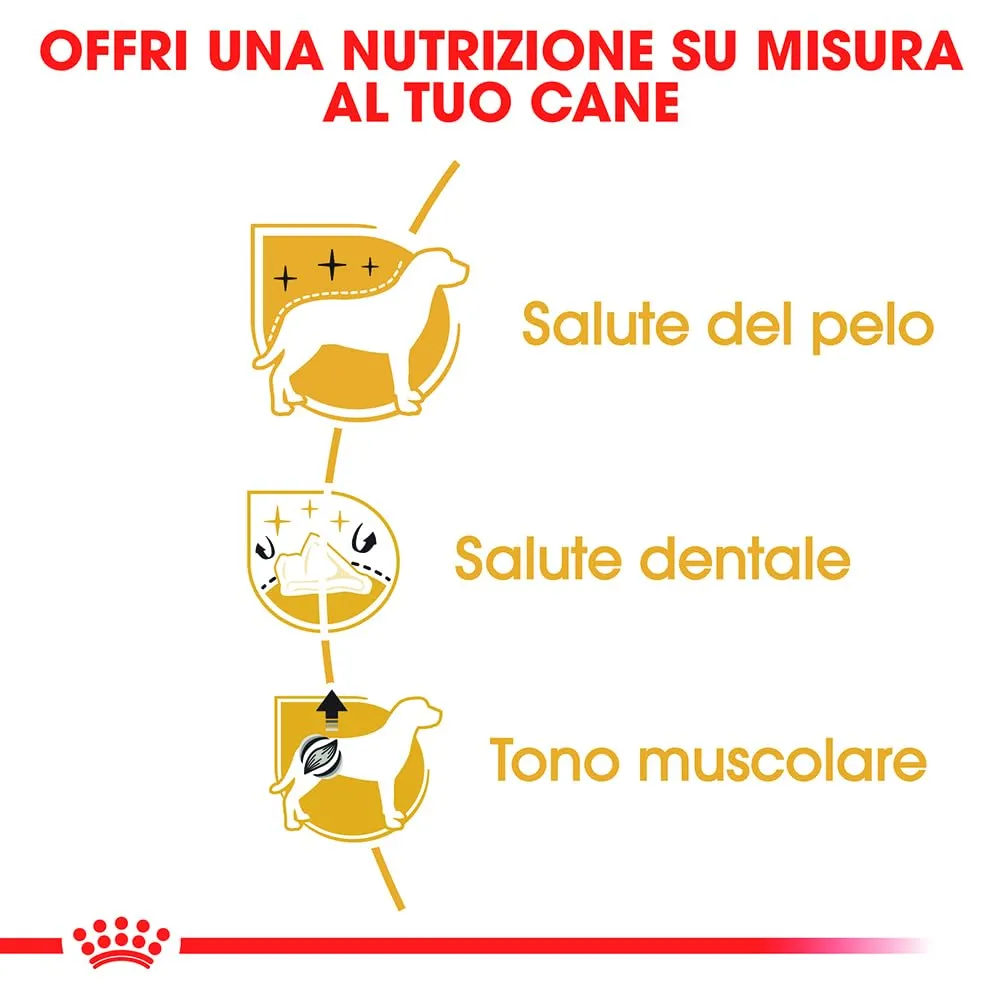 Royal Canin Poodle Adult Dry Dog Food, 1.5kg - immagine 5