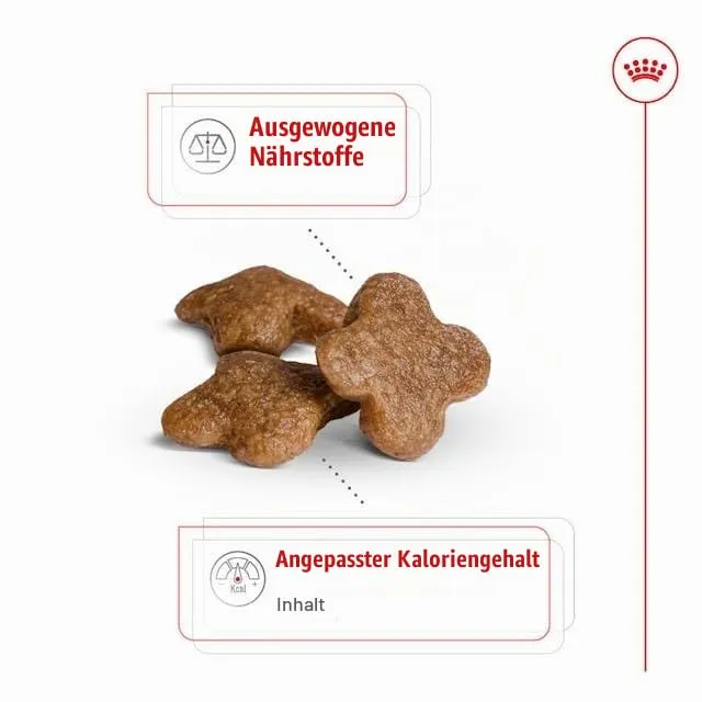 Royal Canin Mini Adult 8+ Dog Food, 800 g - immagine 3
