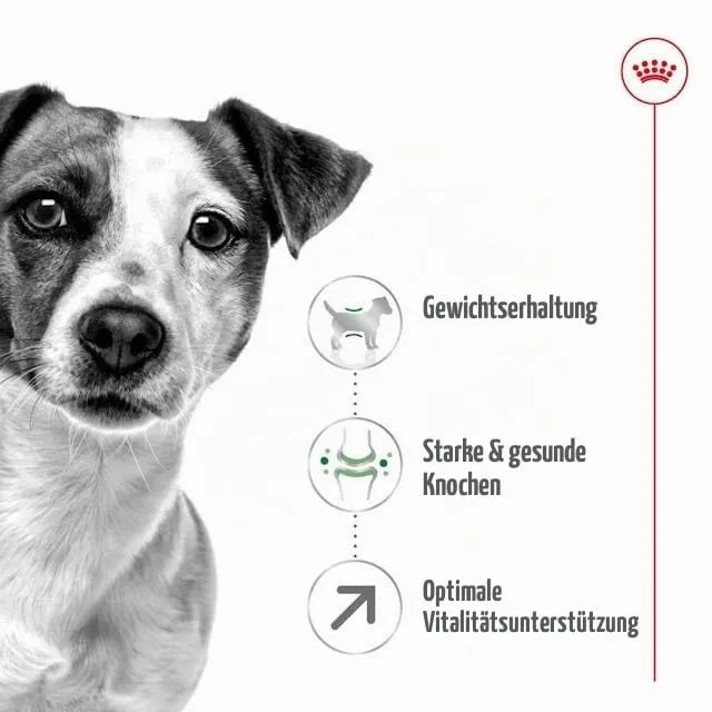 Royal Canin Mini Adult 8+ Dog Food, 800 g - immagine 4