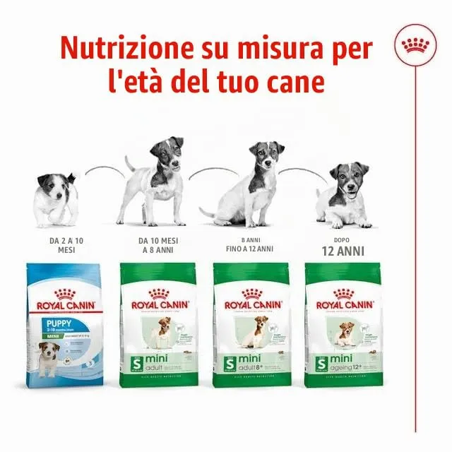 Royal Canin Mini Adult 8+ Dog Food, 800 g - immagine 7