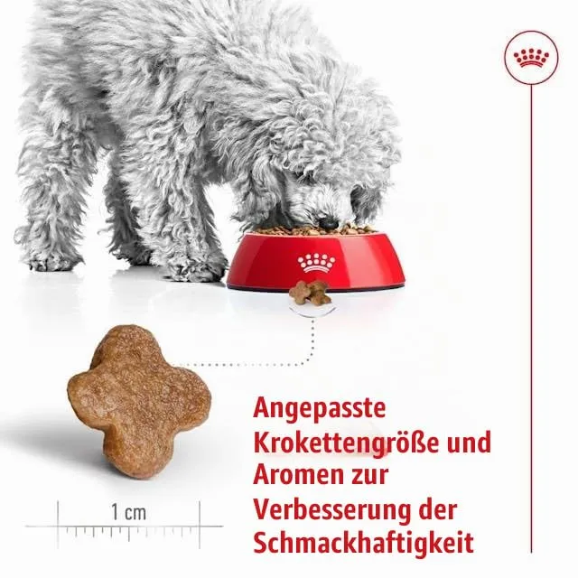 Royal Canin Mini Adult 8+ Dog Food, 800 g - immagine 9
