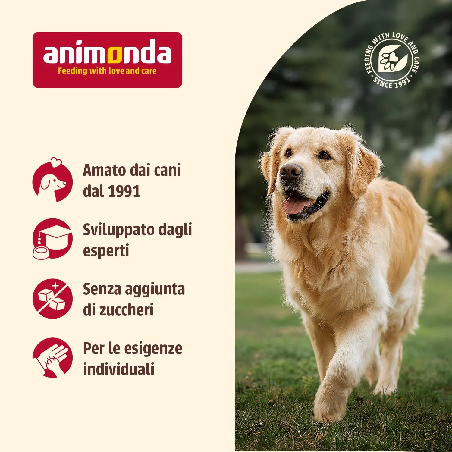 Animonda GranCarno Senior cibo umido per cani, manzo e agnello, 6 x 400 g - immagine 3