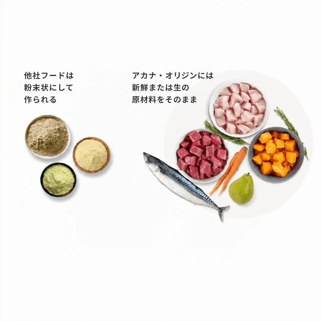 ACANA Regionals Dog Pacifica Alimenti Secchi Monoproteici per Cani, 2 kg - immagine 8