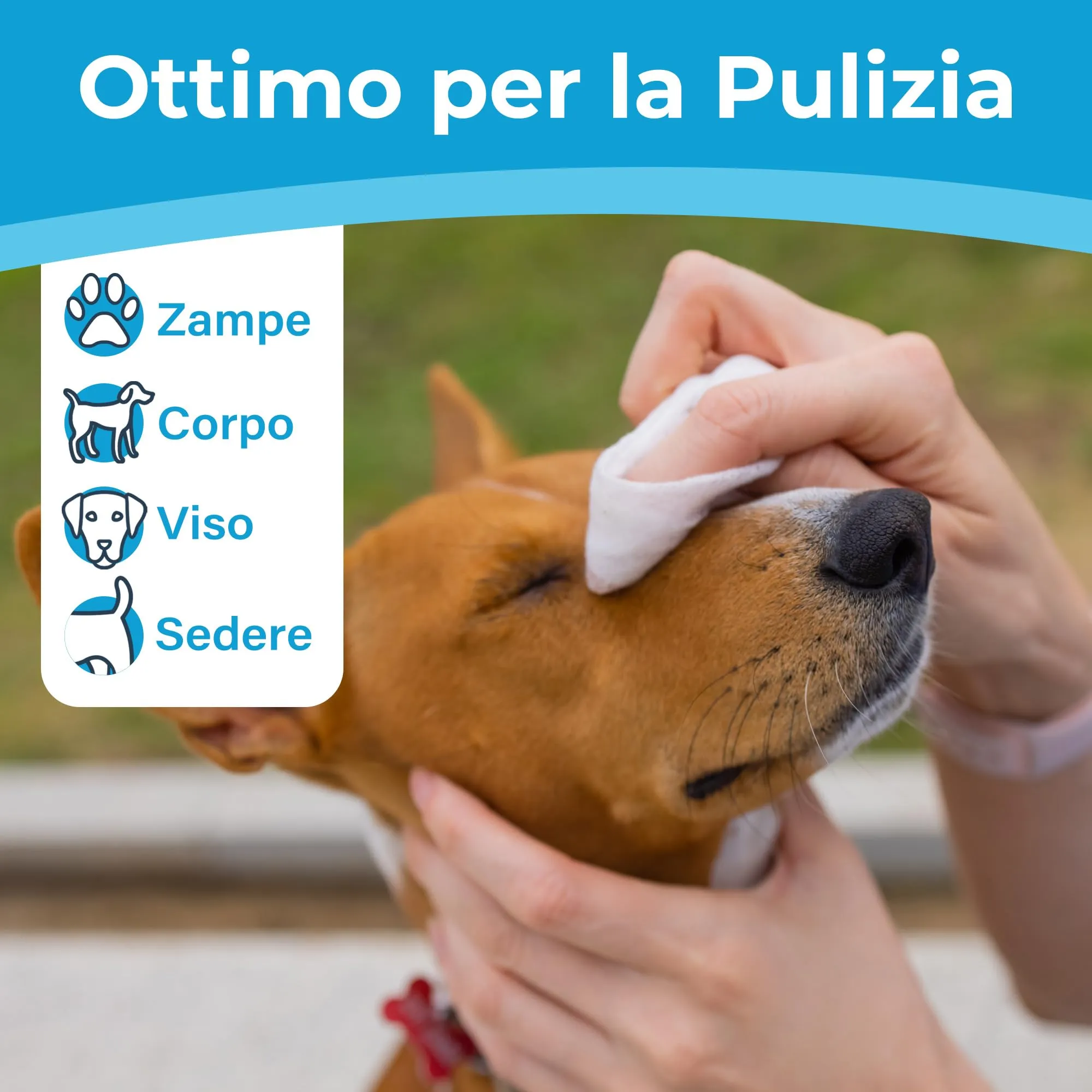 PrimePets Salviette per Cani e Gatti Delicate, 3x100 Pezzi - immagine 6