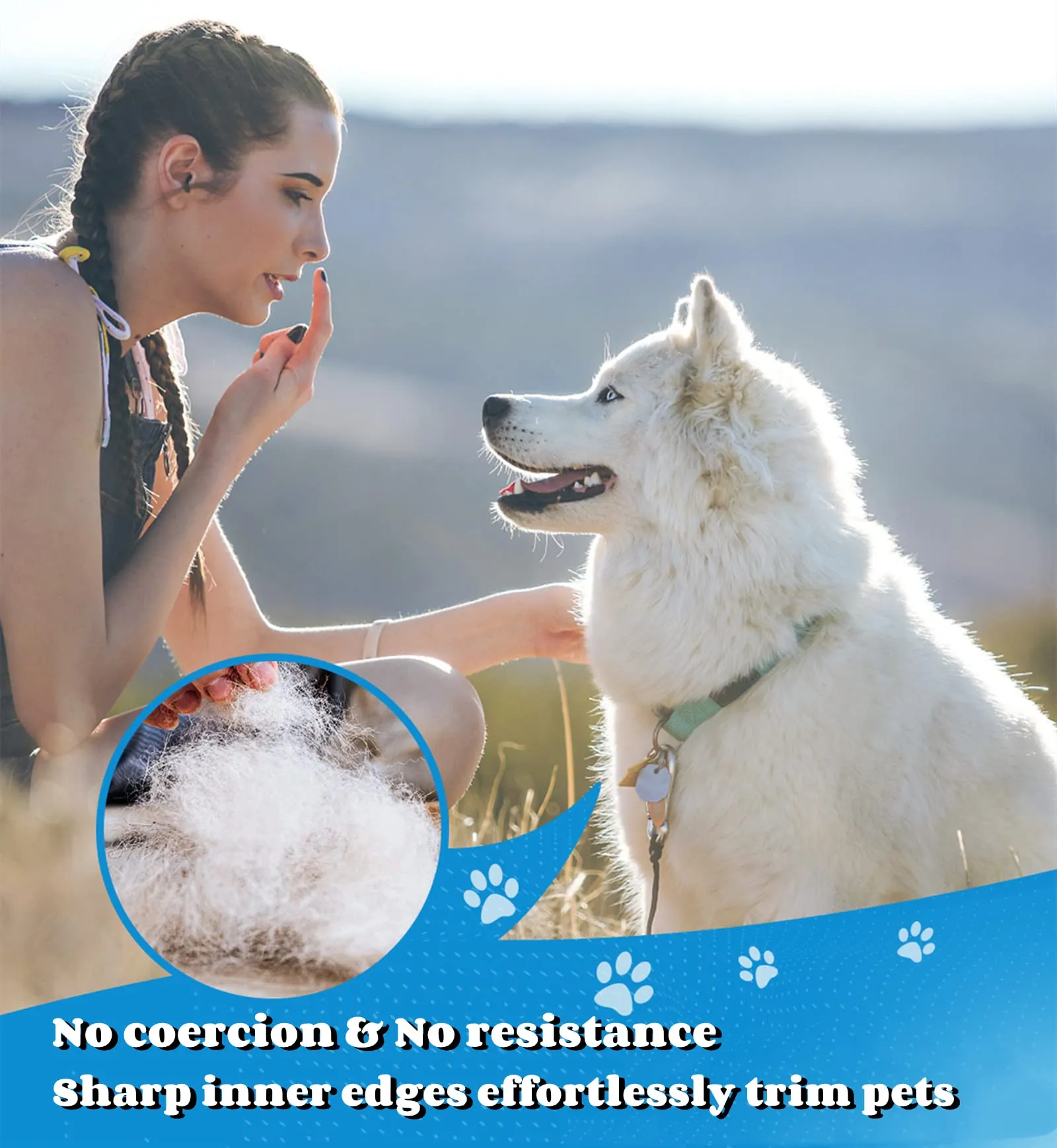 Morpilot Spazzola per Cani e Gatti Professionale per Peli Lunghi, Corti e Medi, Blu - immagine 4