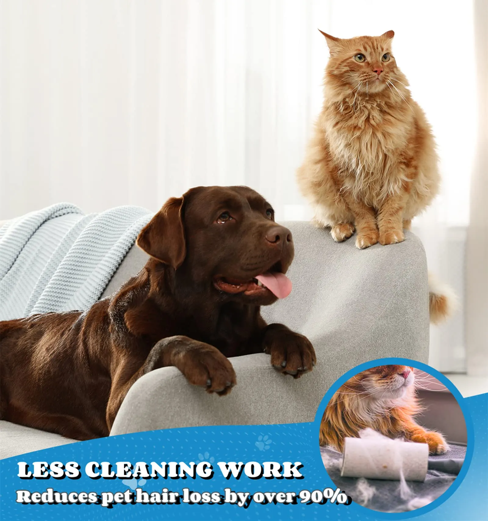 Morpilot Spazzola per Cani e Gatti Professionale per Peli Lunghi, Corti e Medi, Blu - immagine 5
