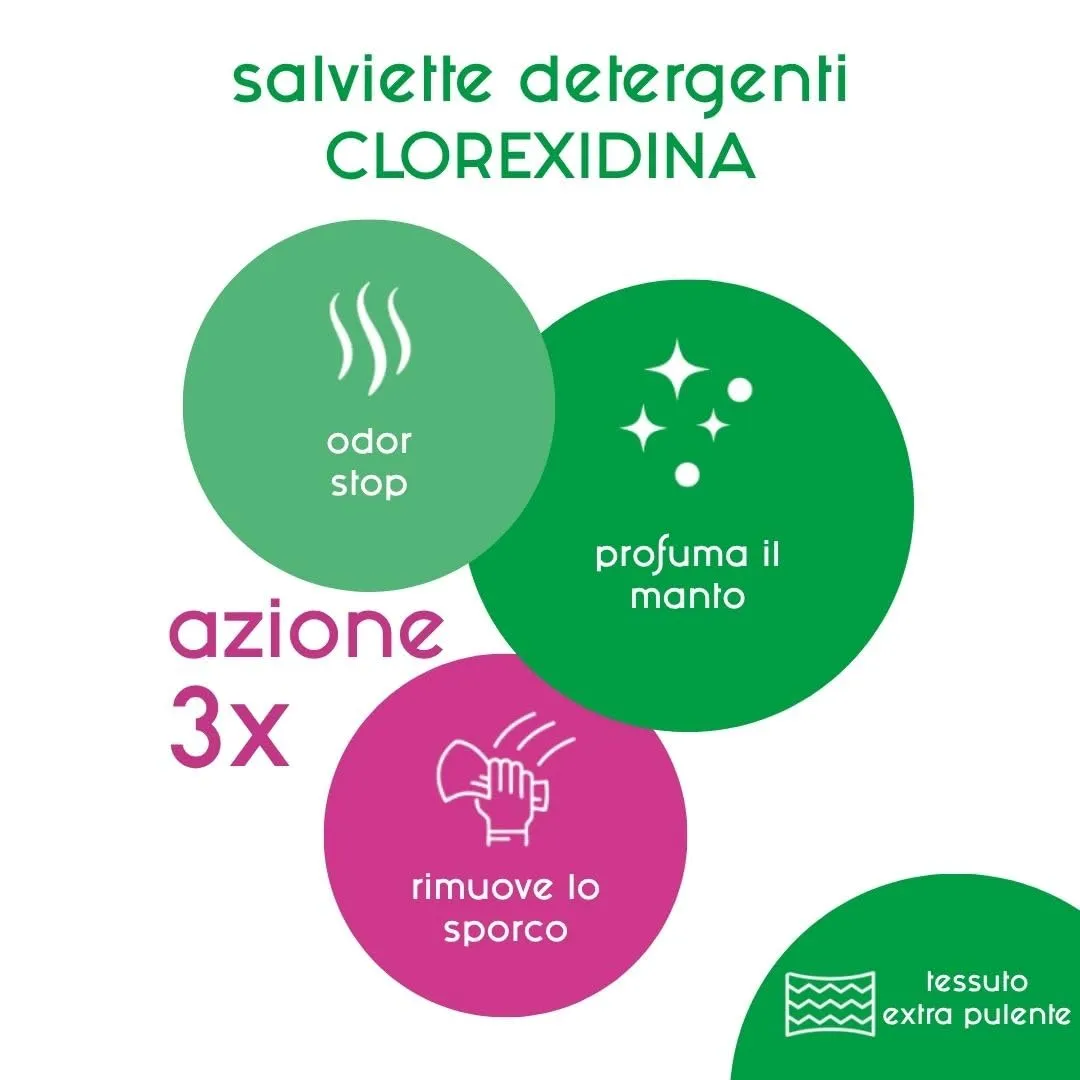 Inodorina Salviette Everyday per Cani e Gatti, Clorexedina, 110 Pezzi - immagine 2