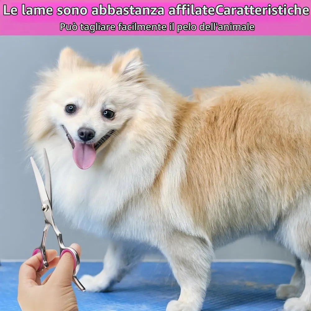 Adiwo Forbici Curve per Toelettatura Animali in Acciaio Inossidabile, 6 Pollici - immagine 6