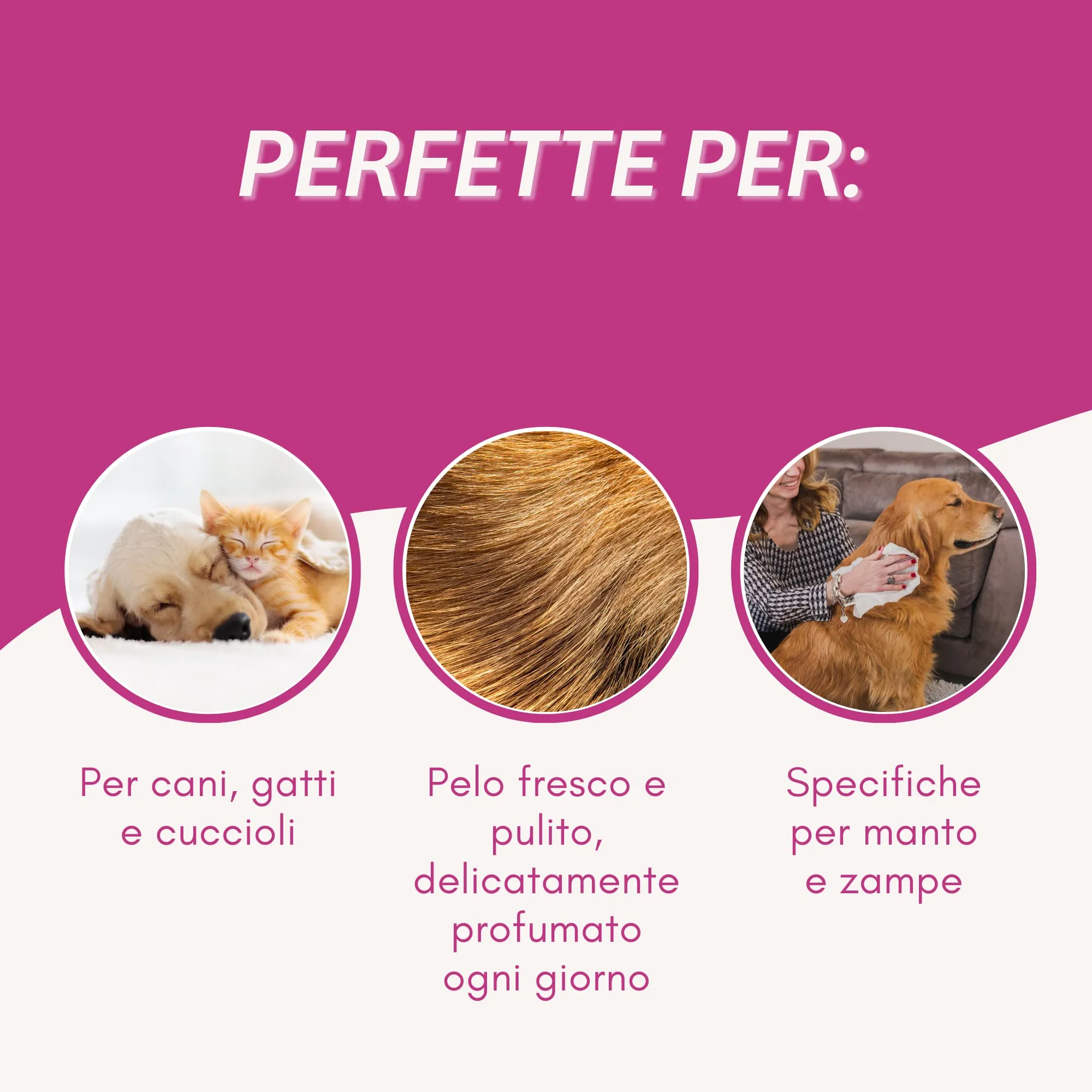 Inodorina Salviette Refresh Detergenti in Tessuto, Profumazione Acqua di Rose, 2x40 Pezzi - immagine 2