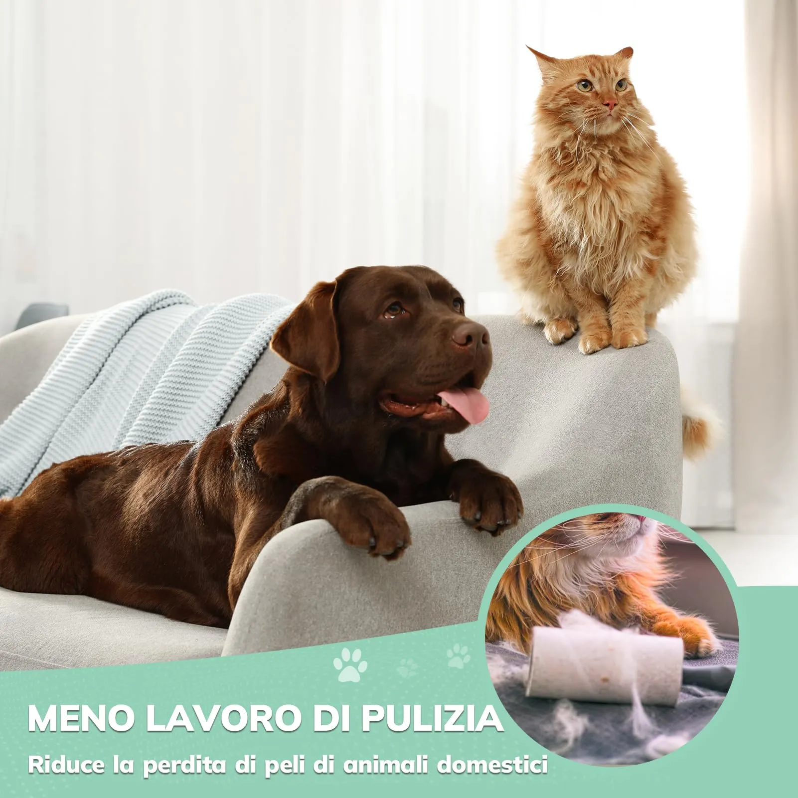 Morpilot Spazzola Doppia Faccia per Cani e Gatti, Cardatore per Rimozione Pelo e Toelettatura - immagine 4