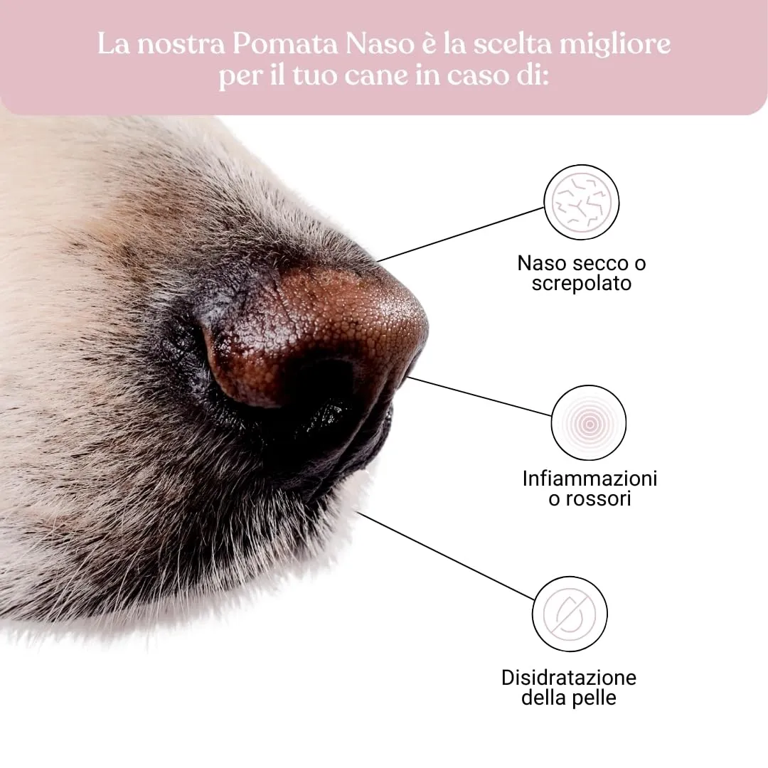Bau Pomata Naso Cane Naturale - Balsamo per Tartufo con Burro di Karité, Olio di Canapa Bio e Vitamina E - immagine 2