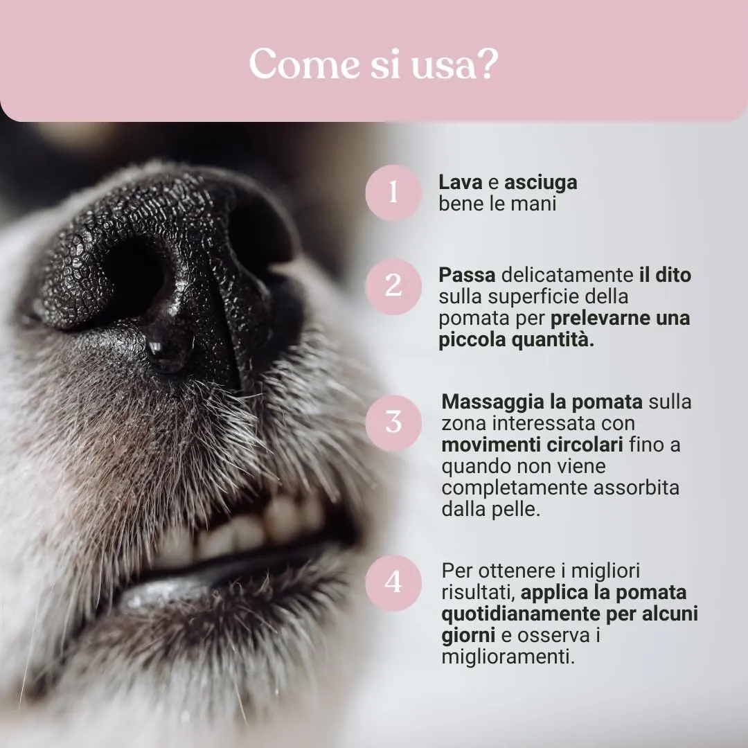Bau Pomata Naso Cane Naturale - Balsamo per Tartufo con Burro di Karité, Olio di Canapa Bio e Vitamina E - immagine 5