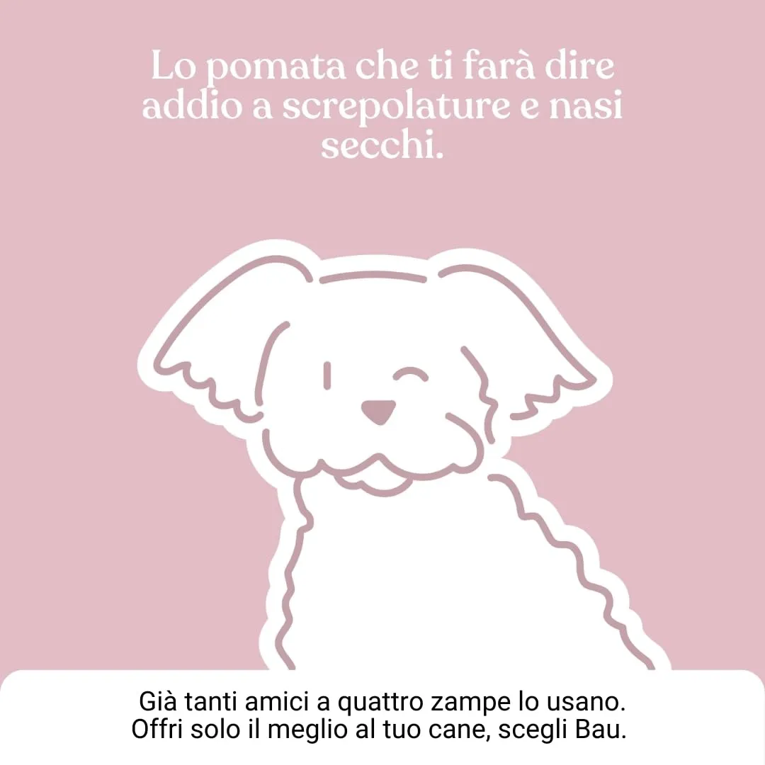 Bau Pomata Naso Cane Naturale - Balsamo per Tartufo con Burro di Karité, Olio di Canapa Bio e Vitamina E - immagine 8
