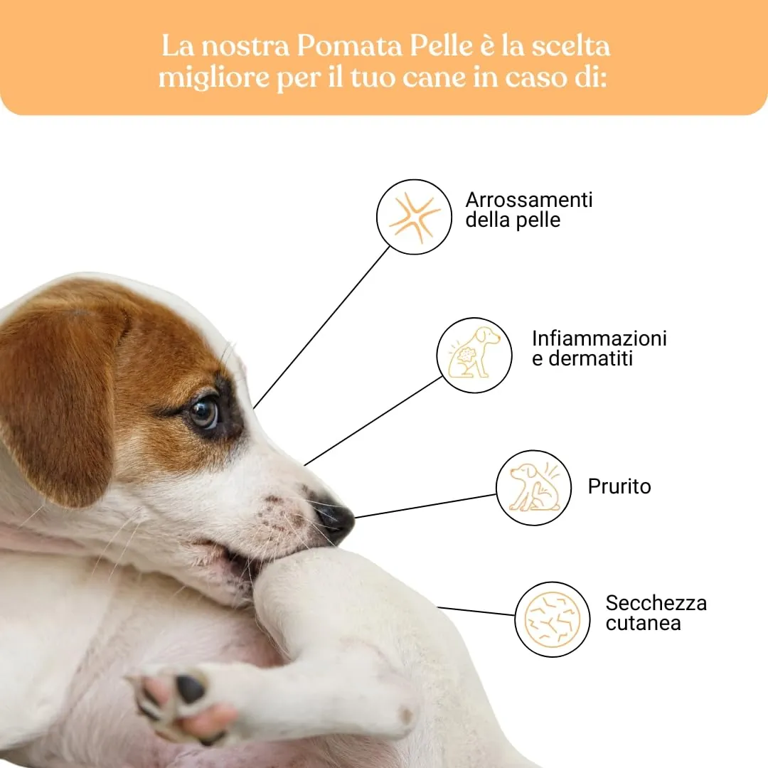 Bau Pomata Pelle Cane Naturale con Burro di Karité, Iperico, Lavanda e Tea Tree - immagine 2