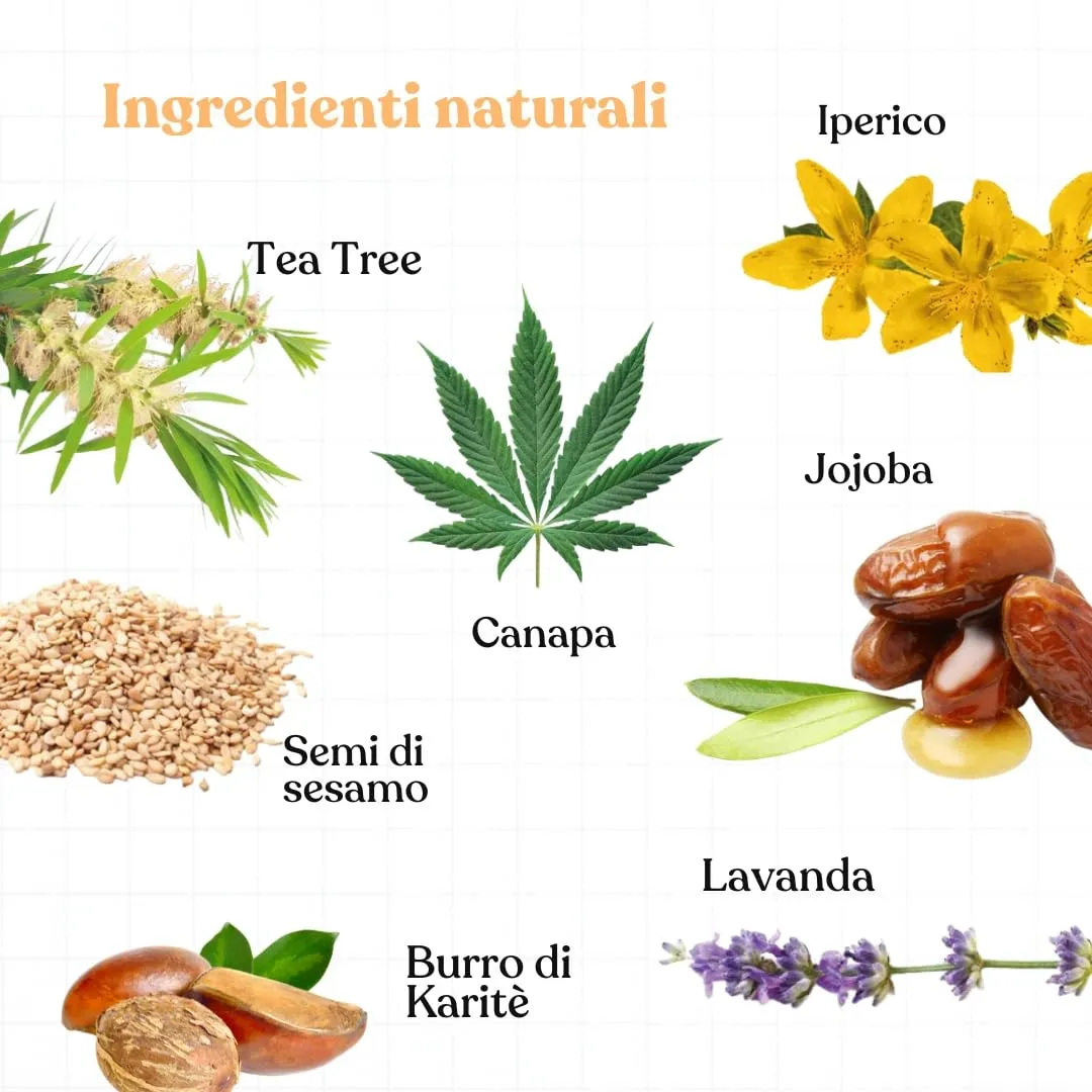 Bau Pomata Pelle Cane Naturale con Burro di Karité, Iperico, Lavanda e Tea Tree - immagine 4