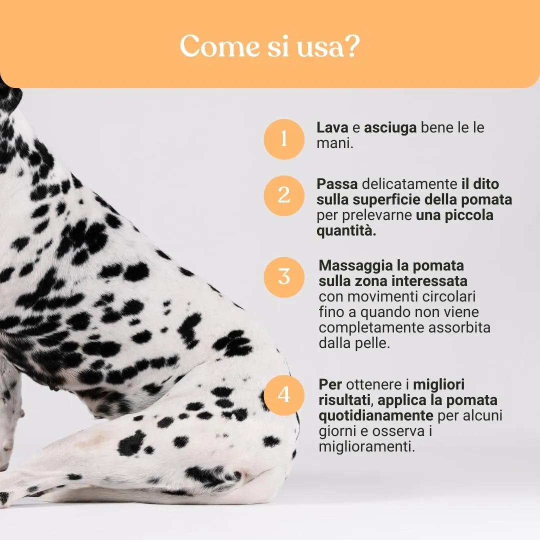 Bau Pomata Pelle Cane Naturale con Burro di Karité, Iperico, Lavanda e Tea Tree - immagine 5
