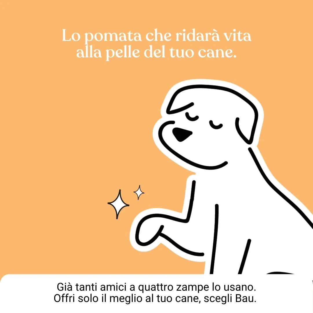 Bau Pomata Pelle Cane Naturale con Burro di Karité, Iperico, Lavanda e Tea Tree - immagine 8