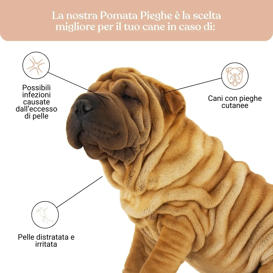 Bau Pomata Pieghe Cane Naturale - Balsamo Idratante con Burro di Karité, Olio di Canapa, Lavanda e Vitamina E - immagine 2