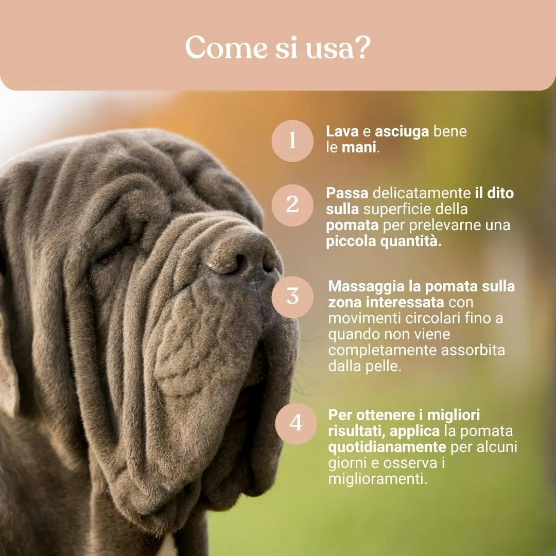 Bau Pomata Pieghe Cane Naturale - Balsamo Idratante con Burro di Karité, Olio di Canapa, Lavanda e Vitamina E - immagine 5