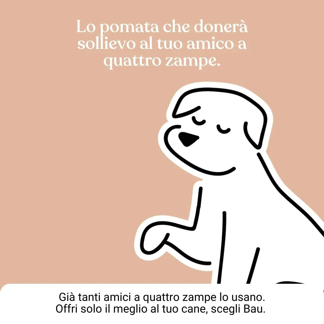 Bau Pomata Pieghe Cane Naturale - Balsamo Idratante con Burro di Karité, Olio di Canapa, Lavanda e Vitamina E - immagine 8