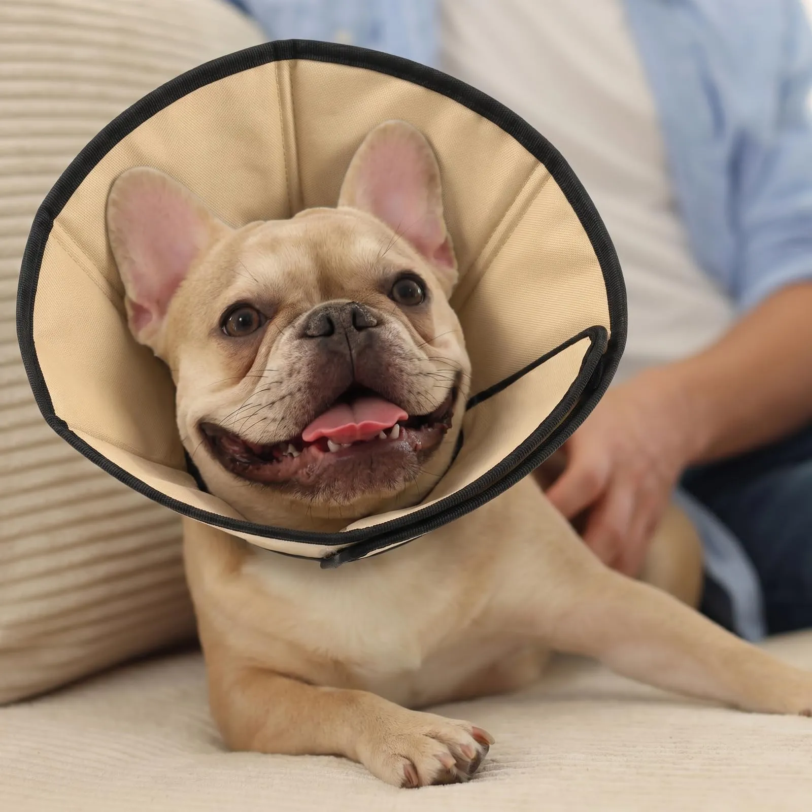 PUZAUKAL Collare Elisabettiano Morbido per Cani, Taglia S, Cachi - immagine 5
