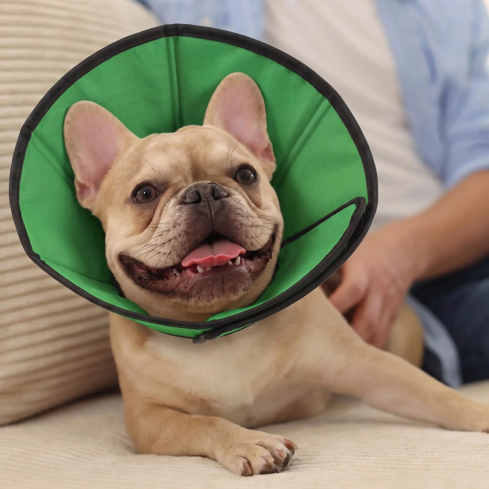 PUZAUKAL Collare Elisabettiano Morbido per Cani, Taglia M, Verde - immagine 6