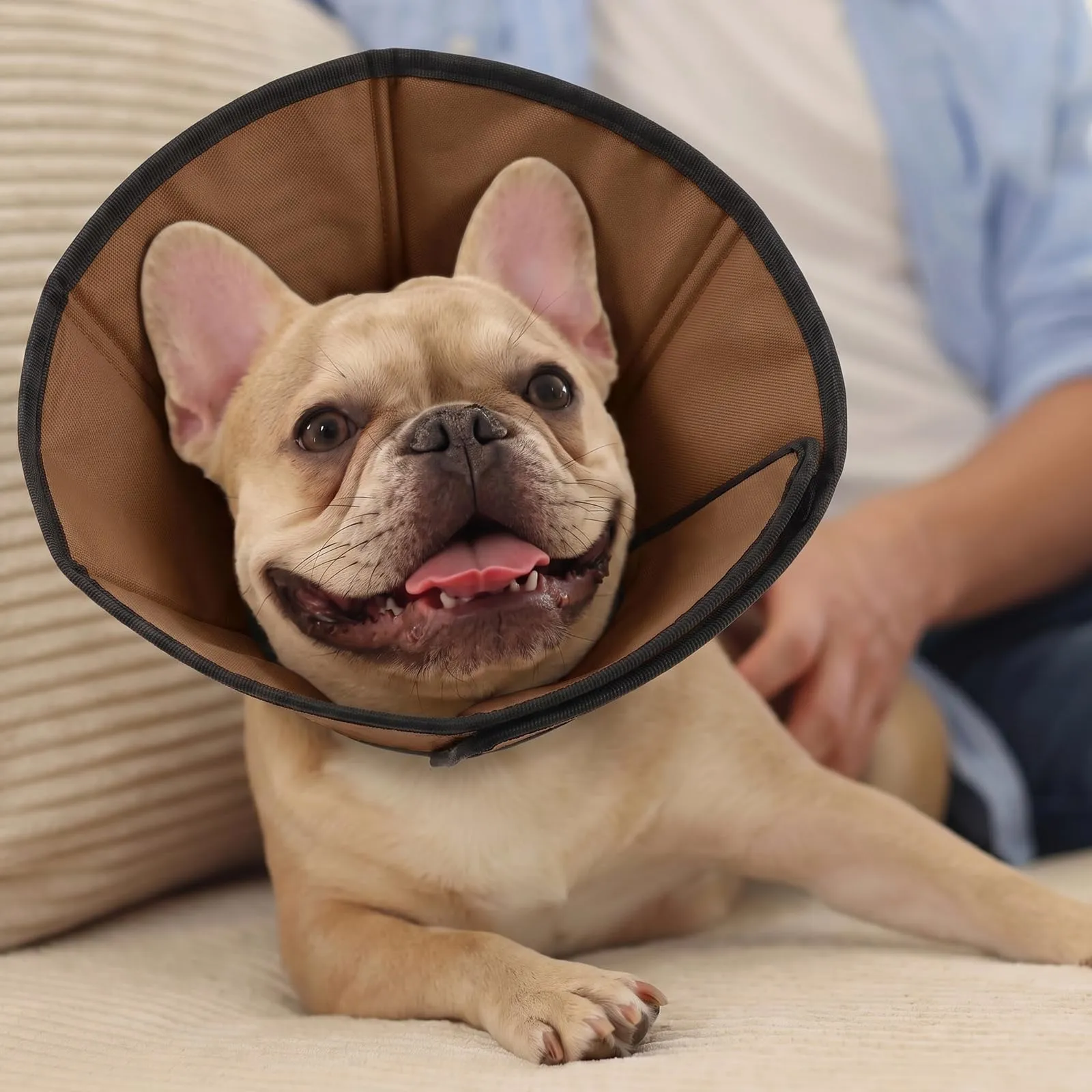 PUZAUKAL Collare Elisabettiano Morbido per Cani, Taglia XL, Marrone - immagine 5
