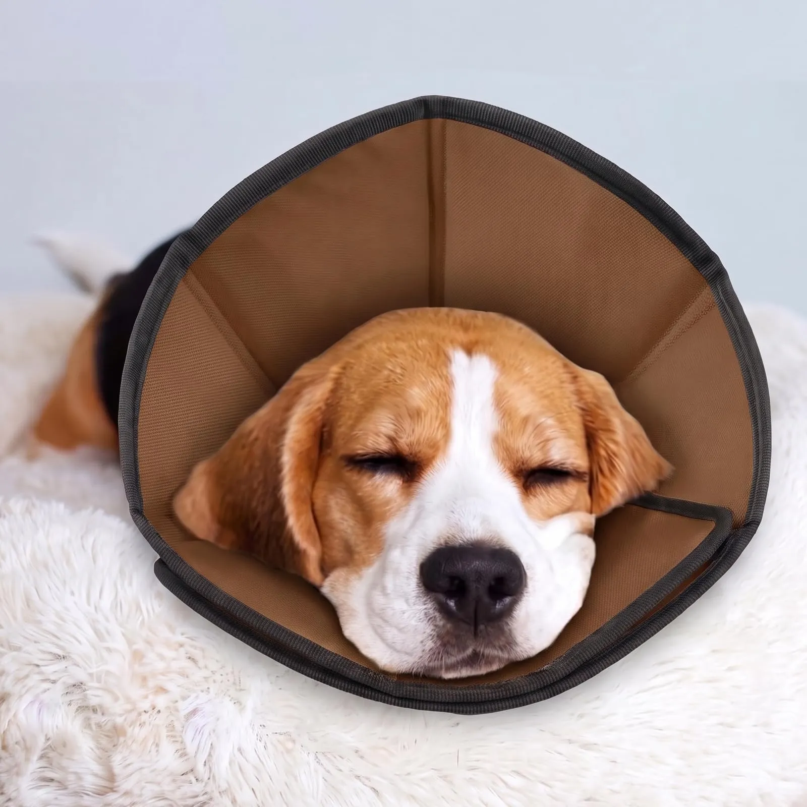 PUZAUKAL Collare Elisabettiano Morbido per Cani, Taglia M, Marrone - immagine 6
