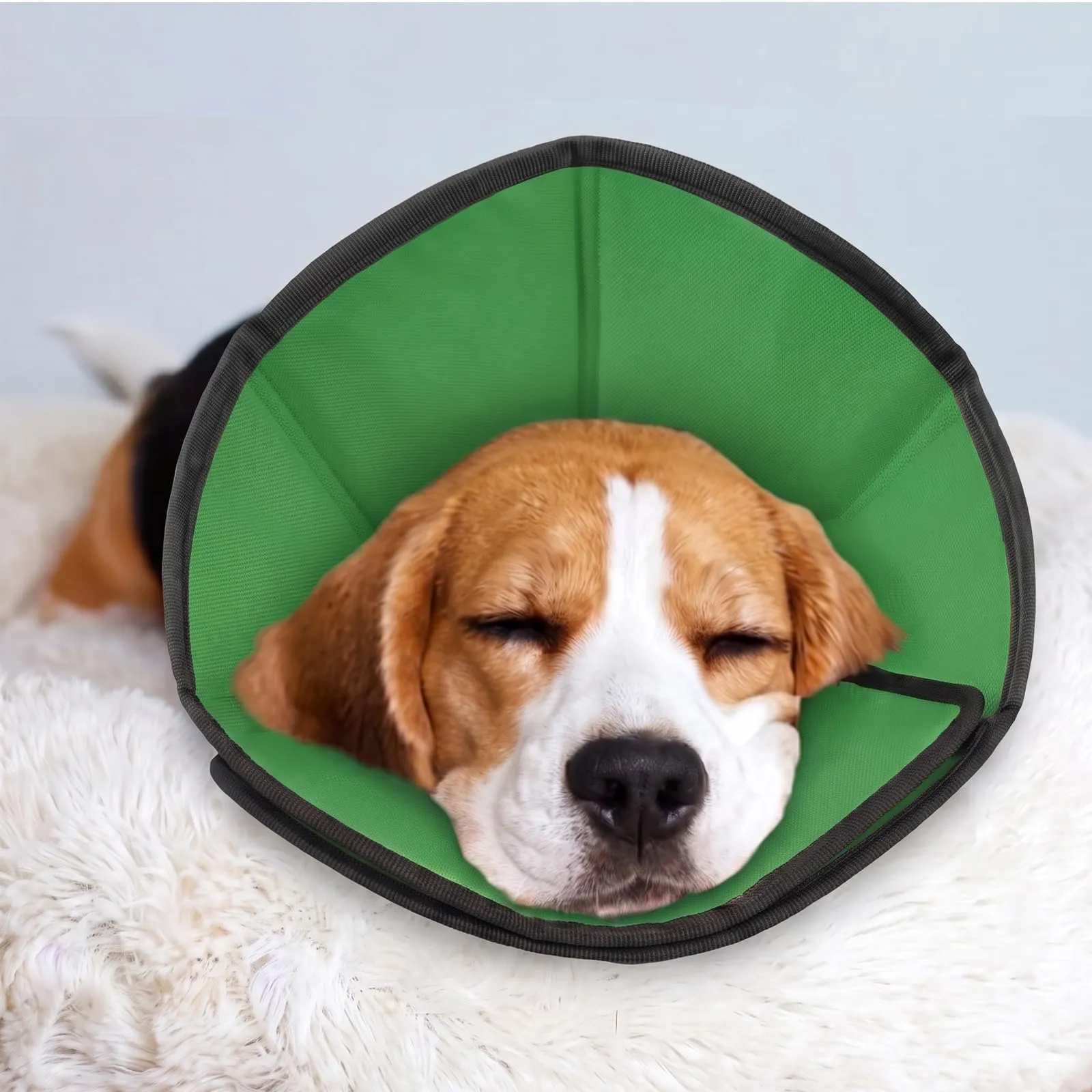 PUZAUKAL Collare Elisabettiano Morbido per Cani, Taglia L, Verde - immagine 7