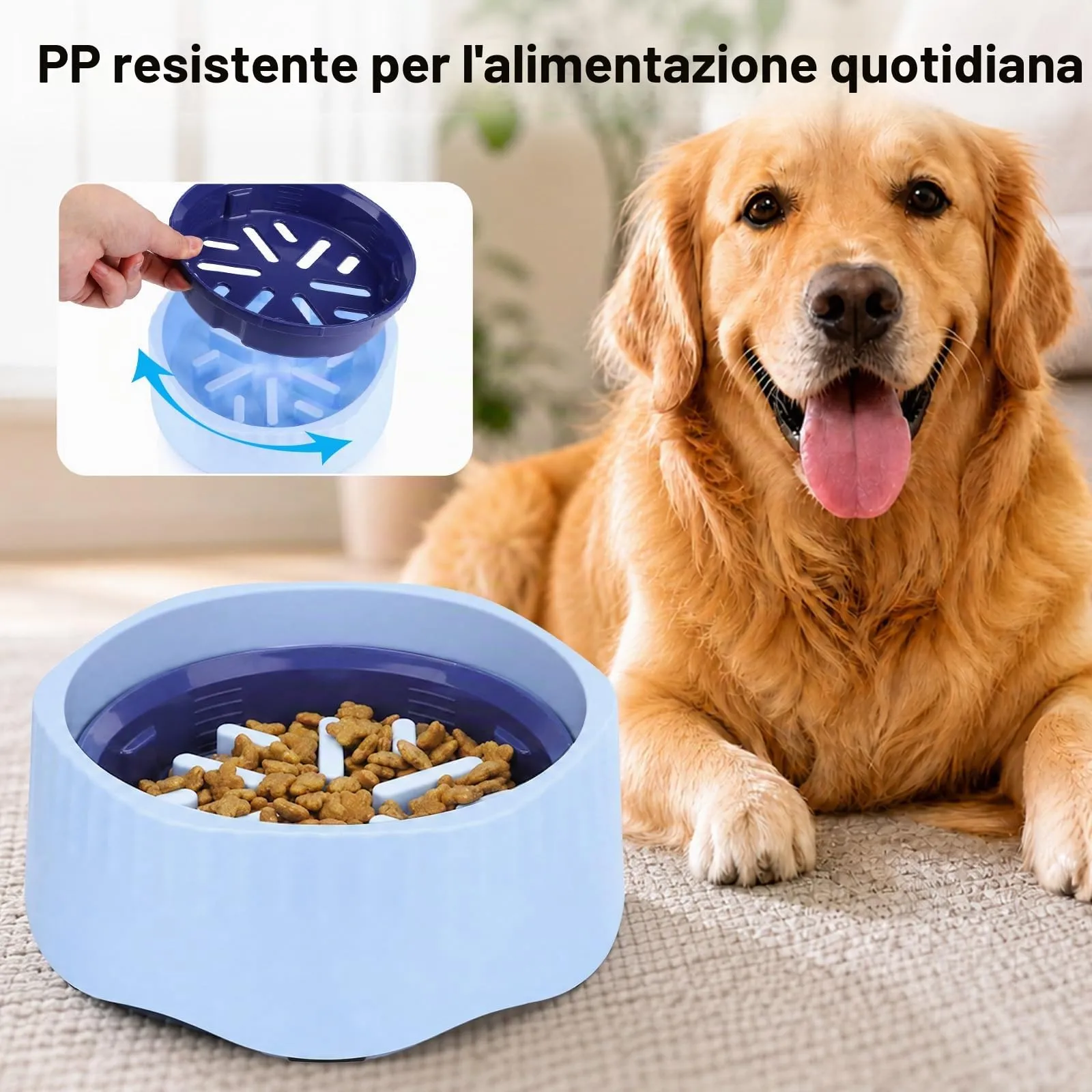 Zivacate Ciotola Anti-Ingozzamento 2 in 1 per Cani Convertibile - immagine 2