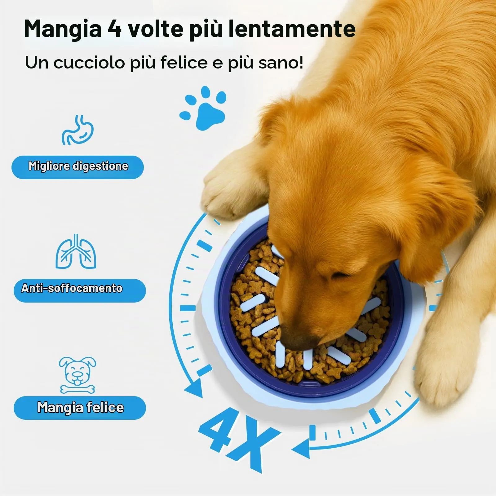 Zivacate Ciotola Anti-Ingozzamento 2 in 1 per Cani Convertibile - immagine 4