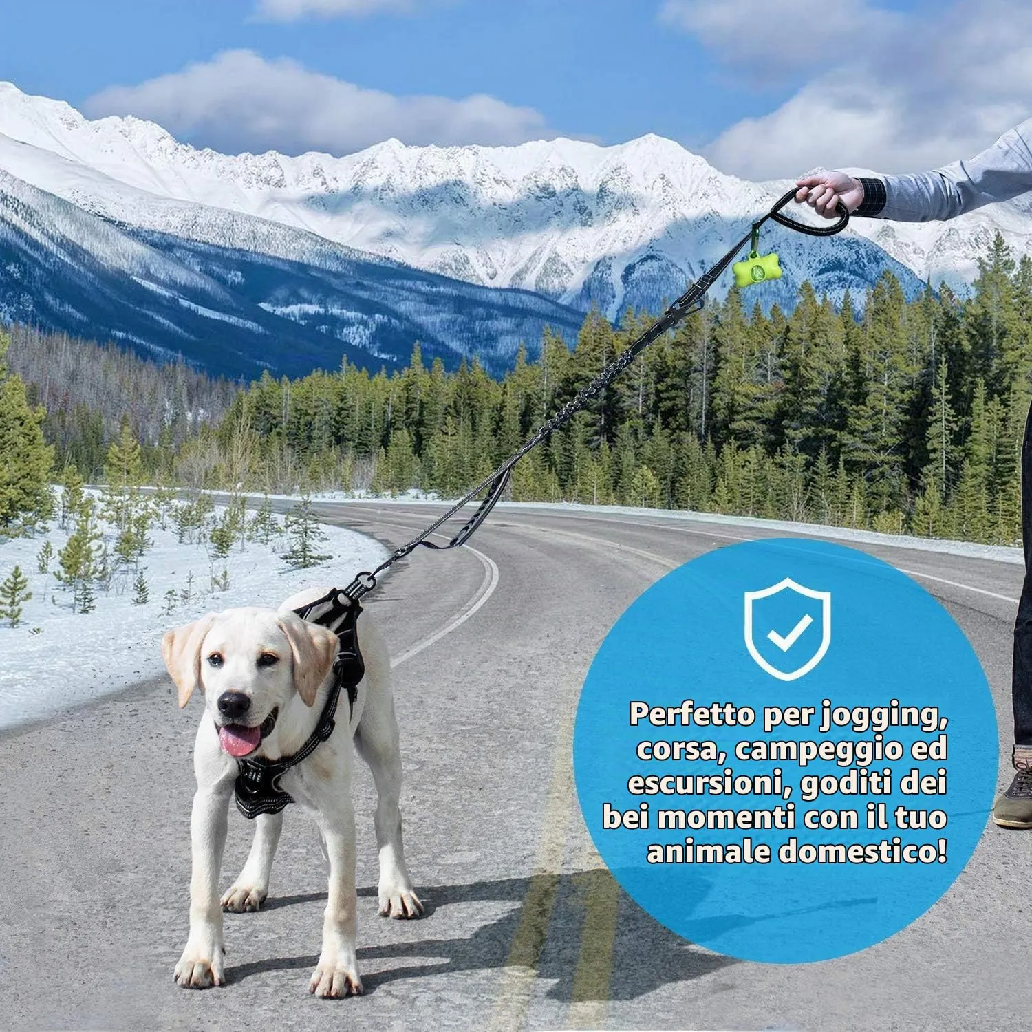Iokheira Guinzaglio per Cani Regolabile (1,2-1,5 m) con Cintura di Sicurezza, Manico Imbottito e Fili Riflettenti - immagine 6