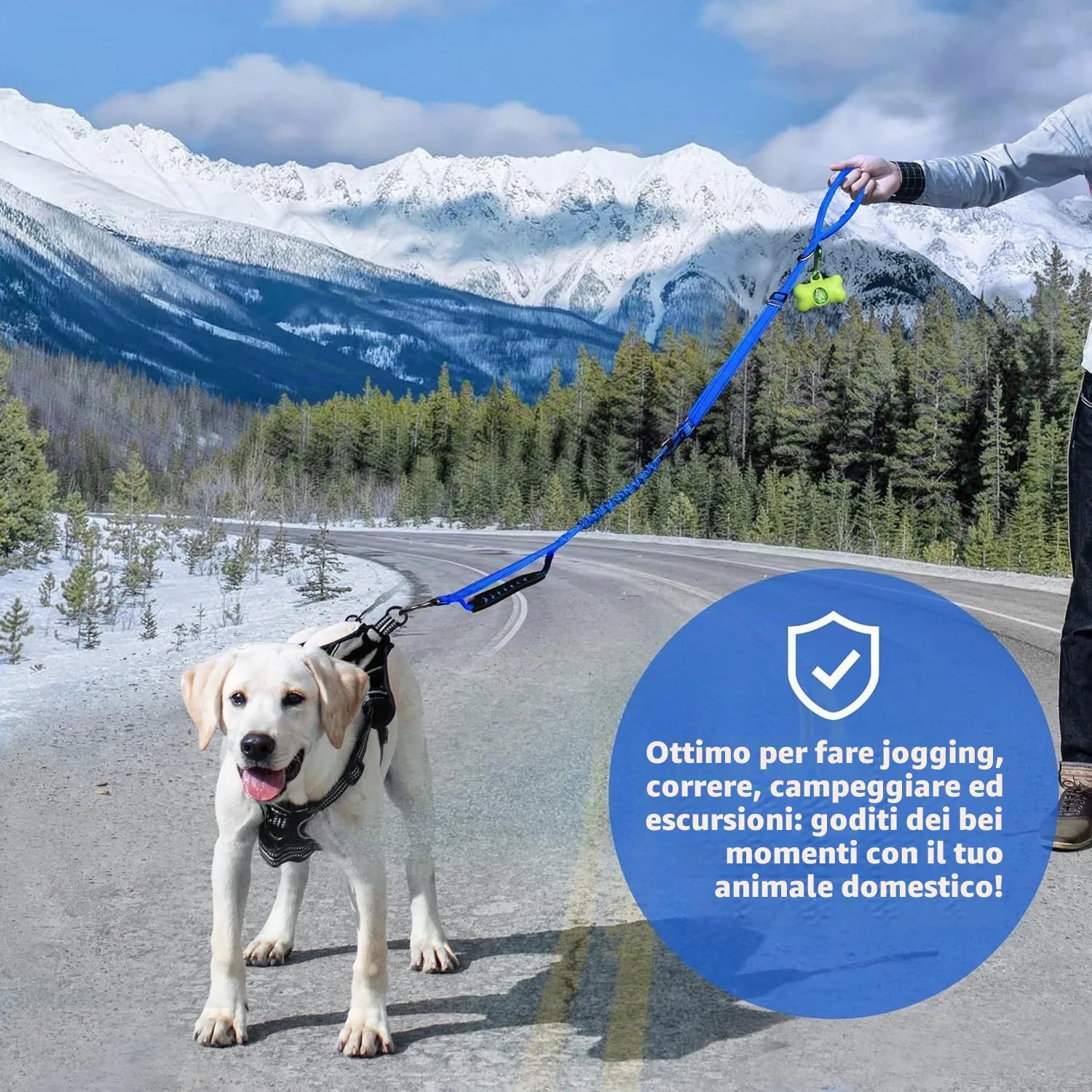 Iokheira Guinzaglio per cani regolabile 1,2-1,5 m con cintura di sicurezza, manico imbottito e fili riflettenti - immagine 6
