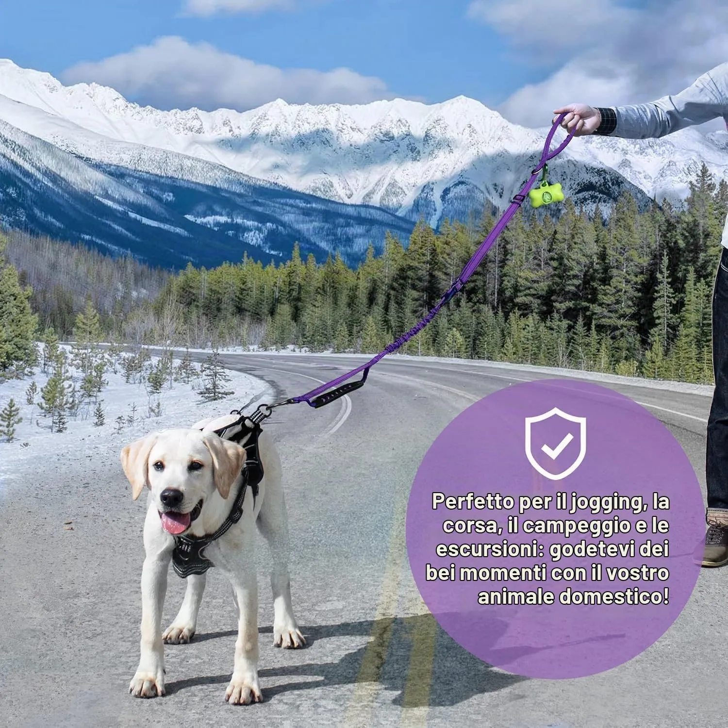 Iokheira Guinzaglio per cani regolabile (1,2-1,5 m) con cintura di sicurezza, manico imbottito e fili riflettenti - immagine 6