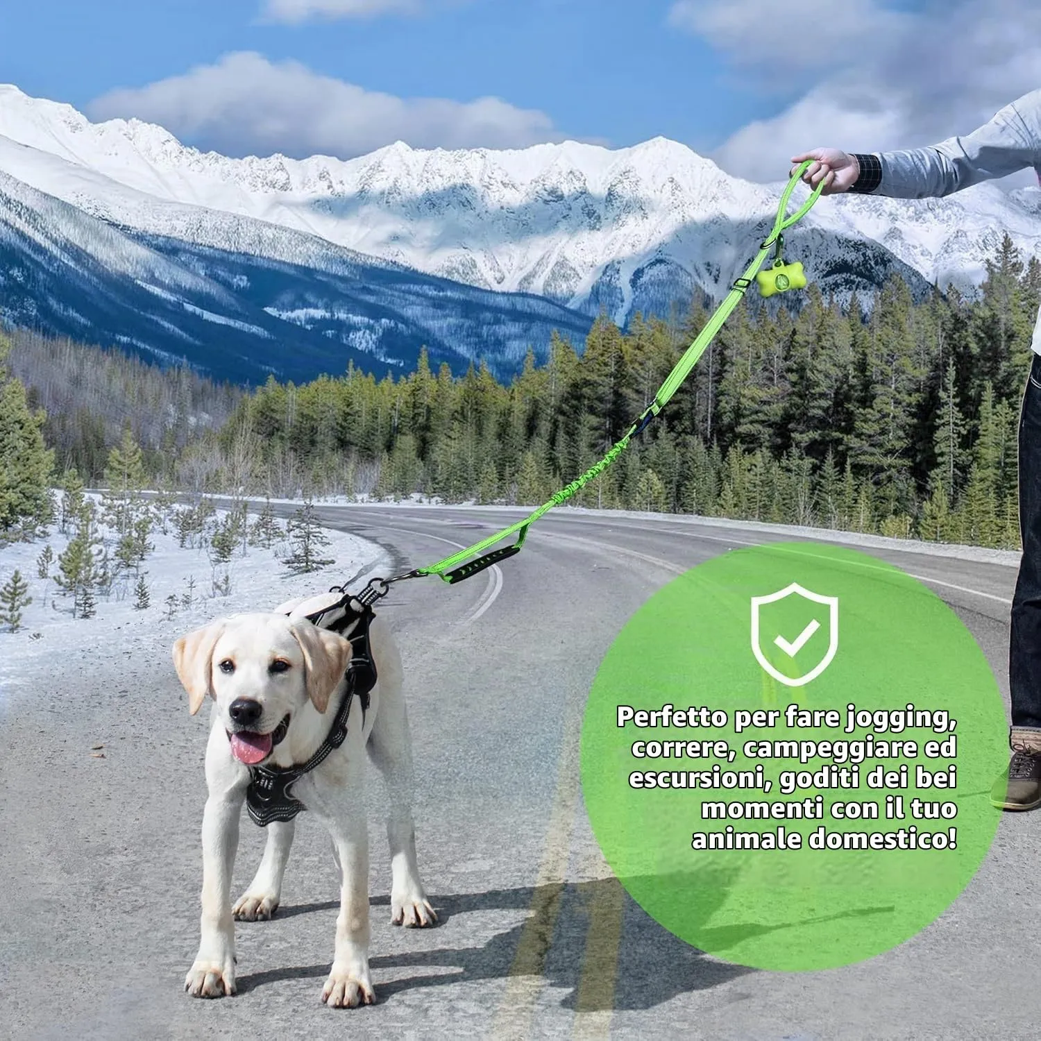 Iokheira Guinzaglio per cani regolabile 1,2-1,5 m con cintura di sicurezza, manico imbottito e fili riflettenti - immagine 6