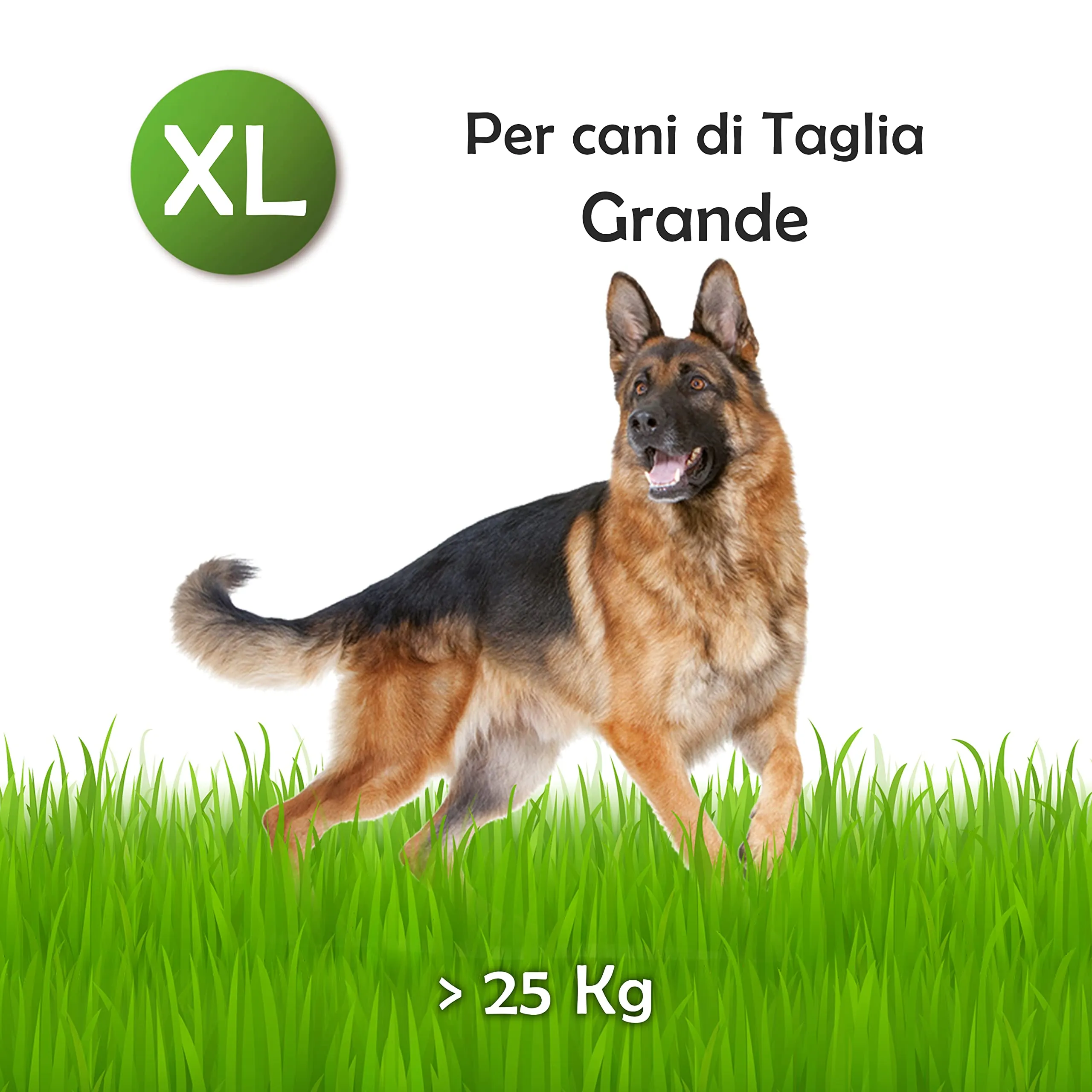 Zomapet Corno di Cervo per Cani Naturale (XL) - immagine 4