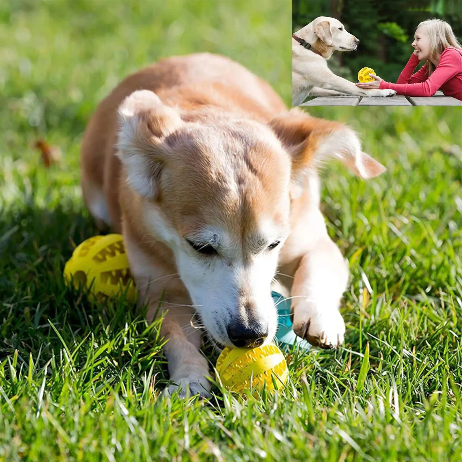 ZFLYXIAOHUA Dispenser Interattivo per Cani, Palla da Masticare per Pulizia Denti e Addestramento, 2 pezzi (Blu+Giallo, 5cm) - immagine 6