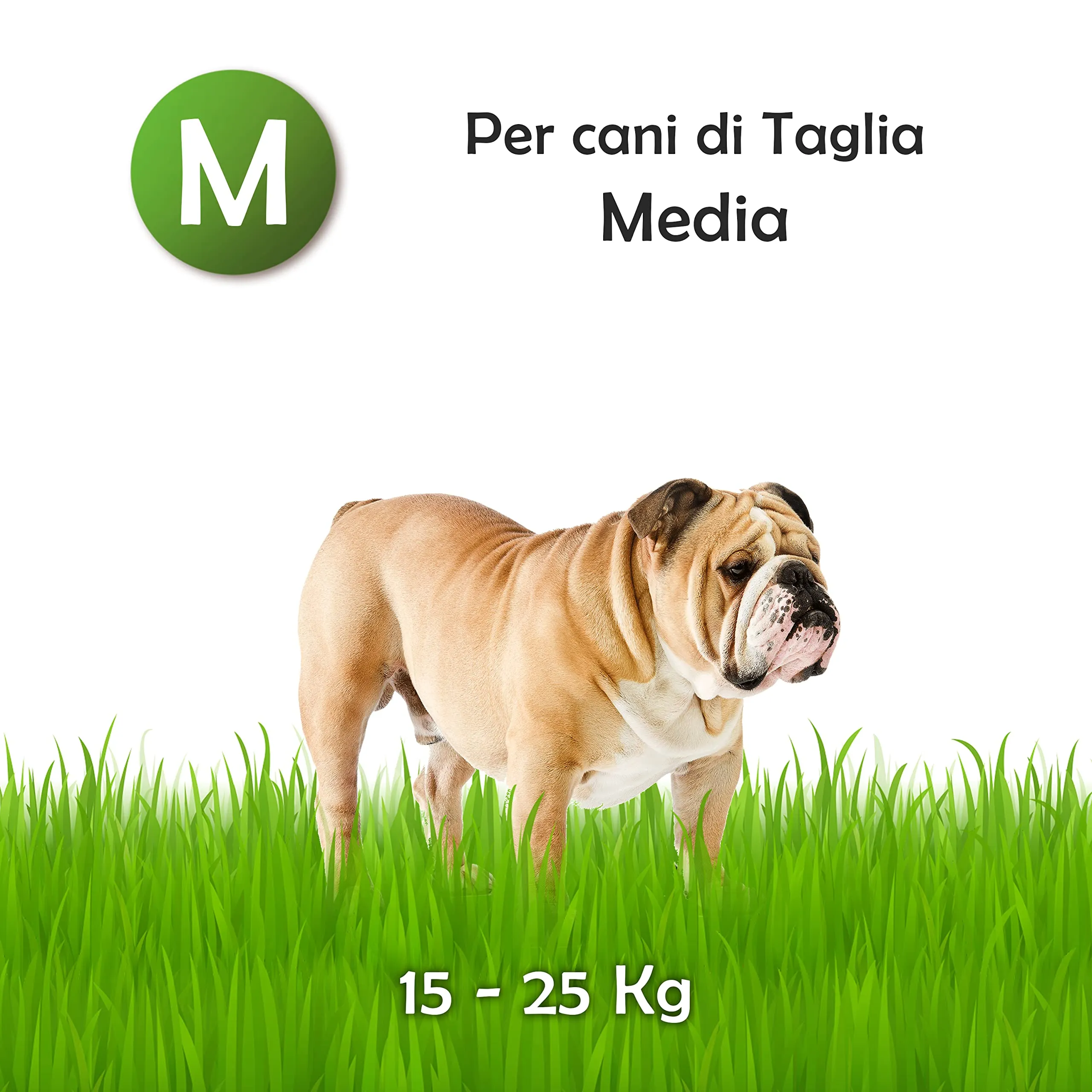ZOMAPET Corno di Cervo per Cani Naturale (M) - immagine 4