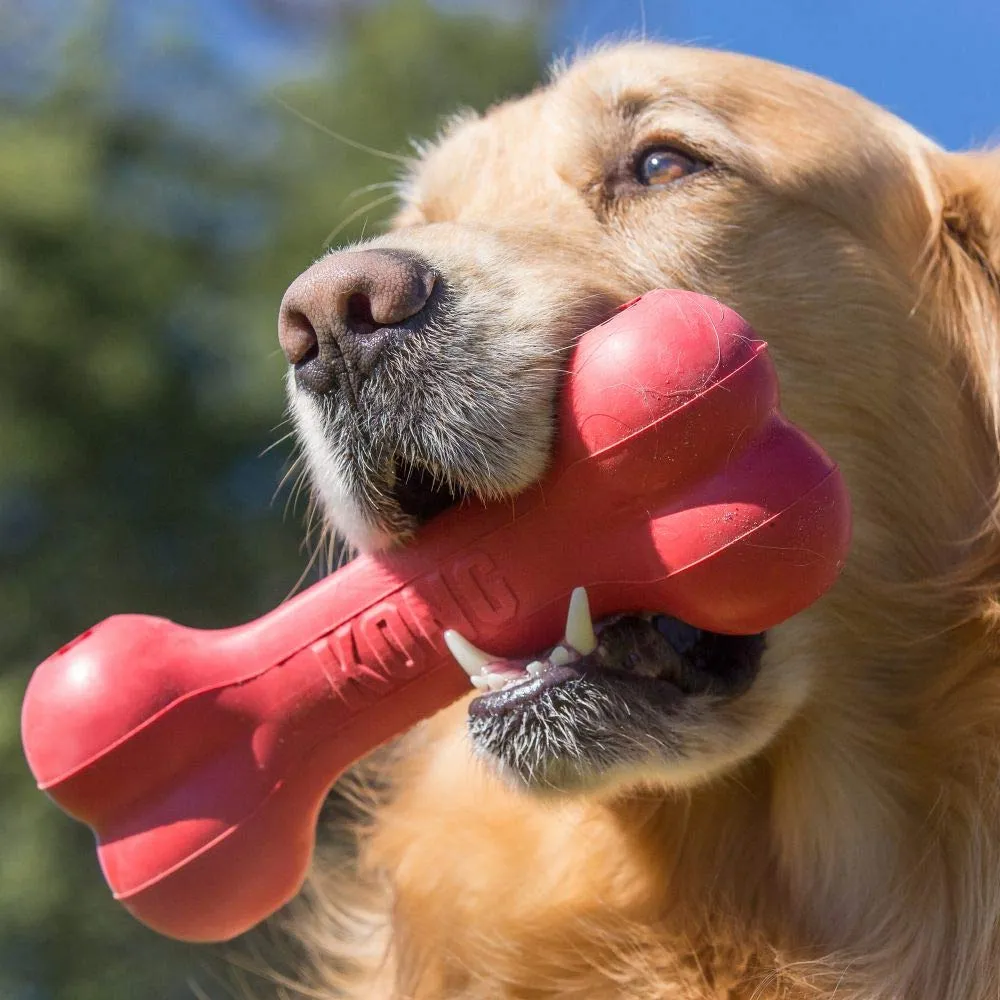 KONG Goodie Bone Osso in Gomma Naturale, Rosso, Taglia Media - immagine 2