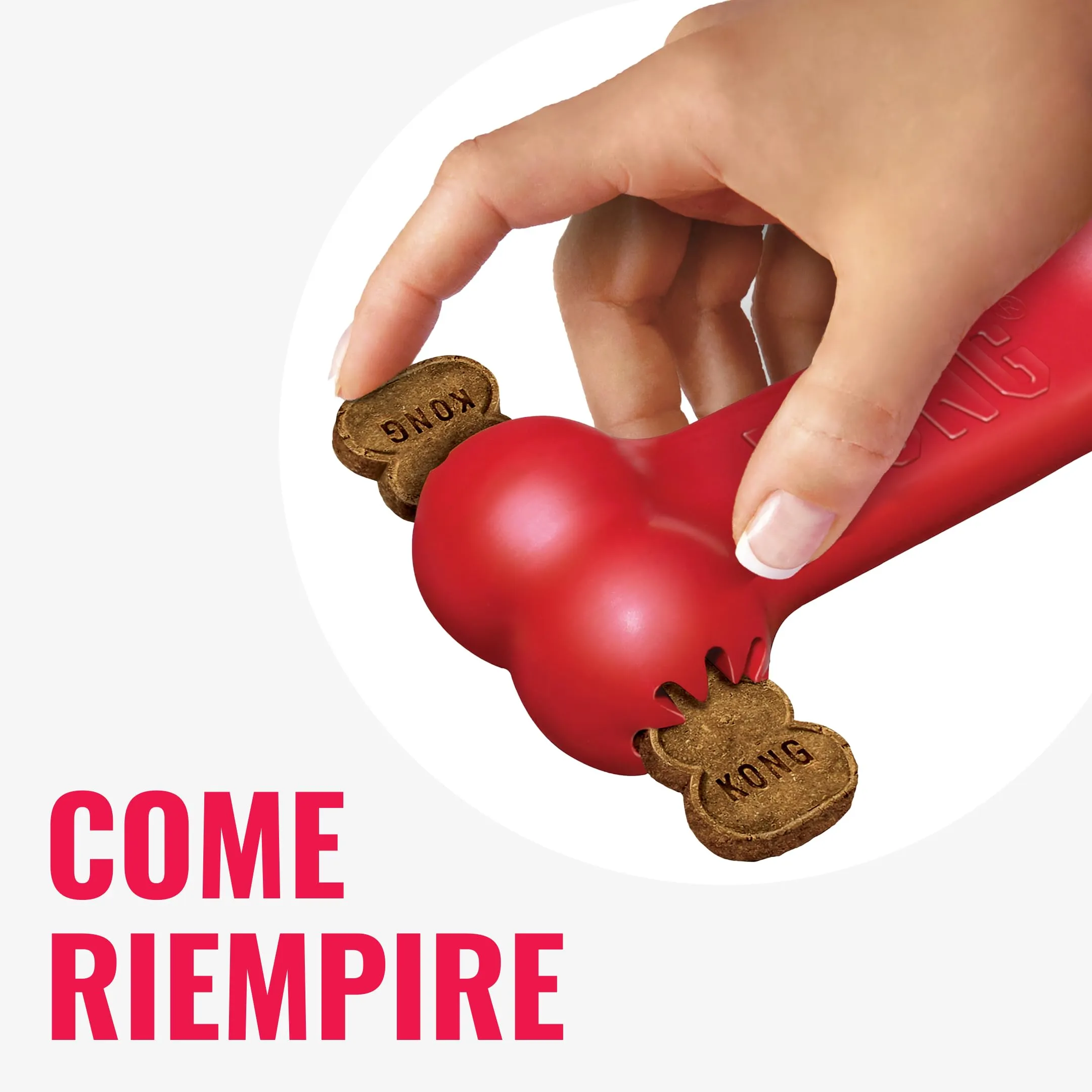 KONG Goodie Bone Osso in Gomma Naturale, Rosso, Taglia Media - immagine 5