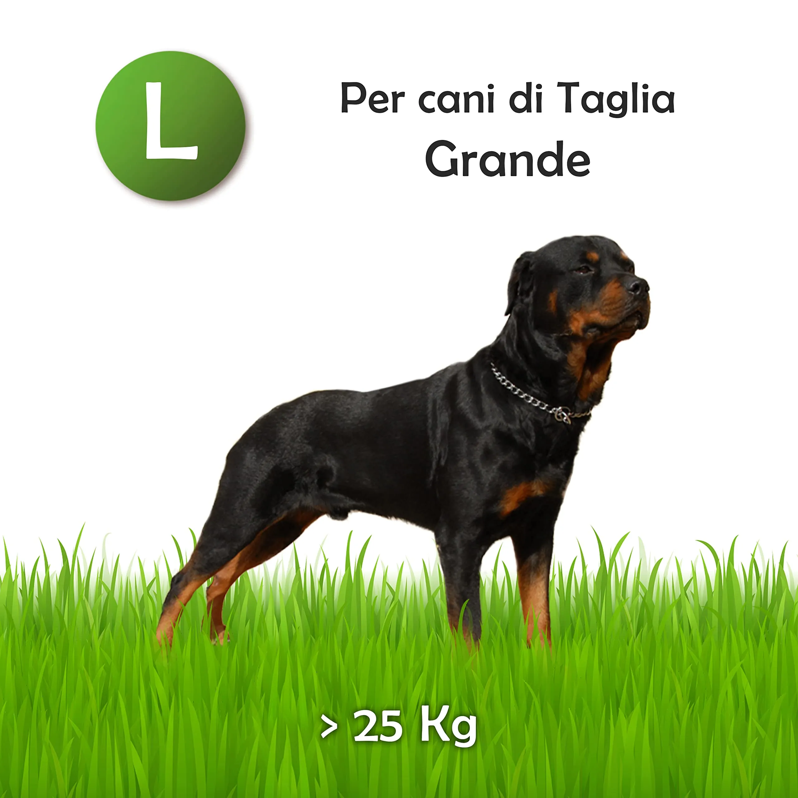 Zomapet Corno di Cervo per Cani, Naturale, Taglia L, 90 g - immagine 4