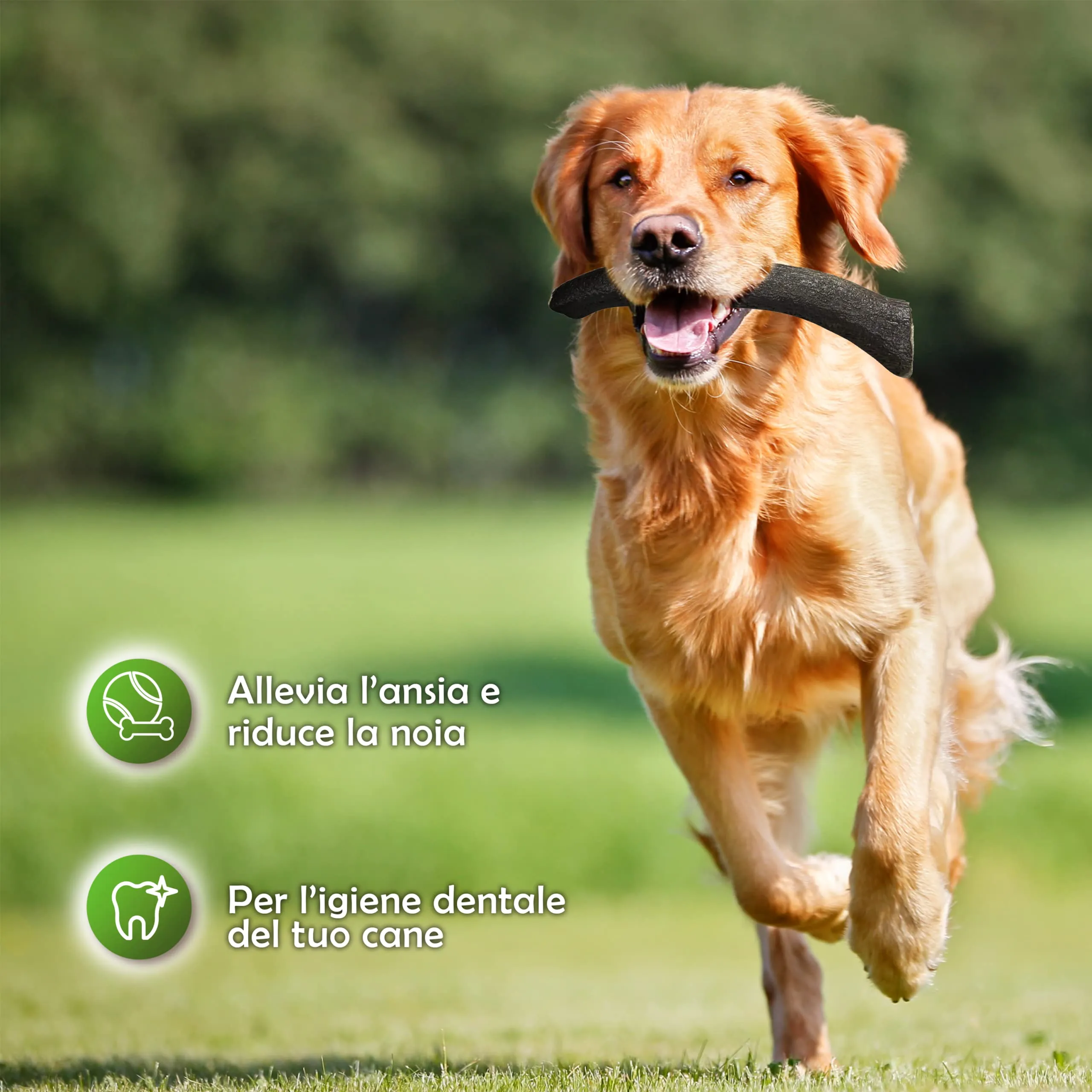 Zomapet Corno di Cervo per Cani, Naturale, Taglia L, 90 g - immagine 5